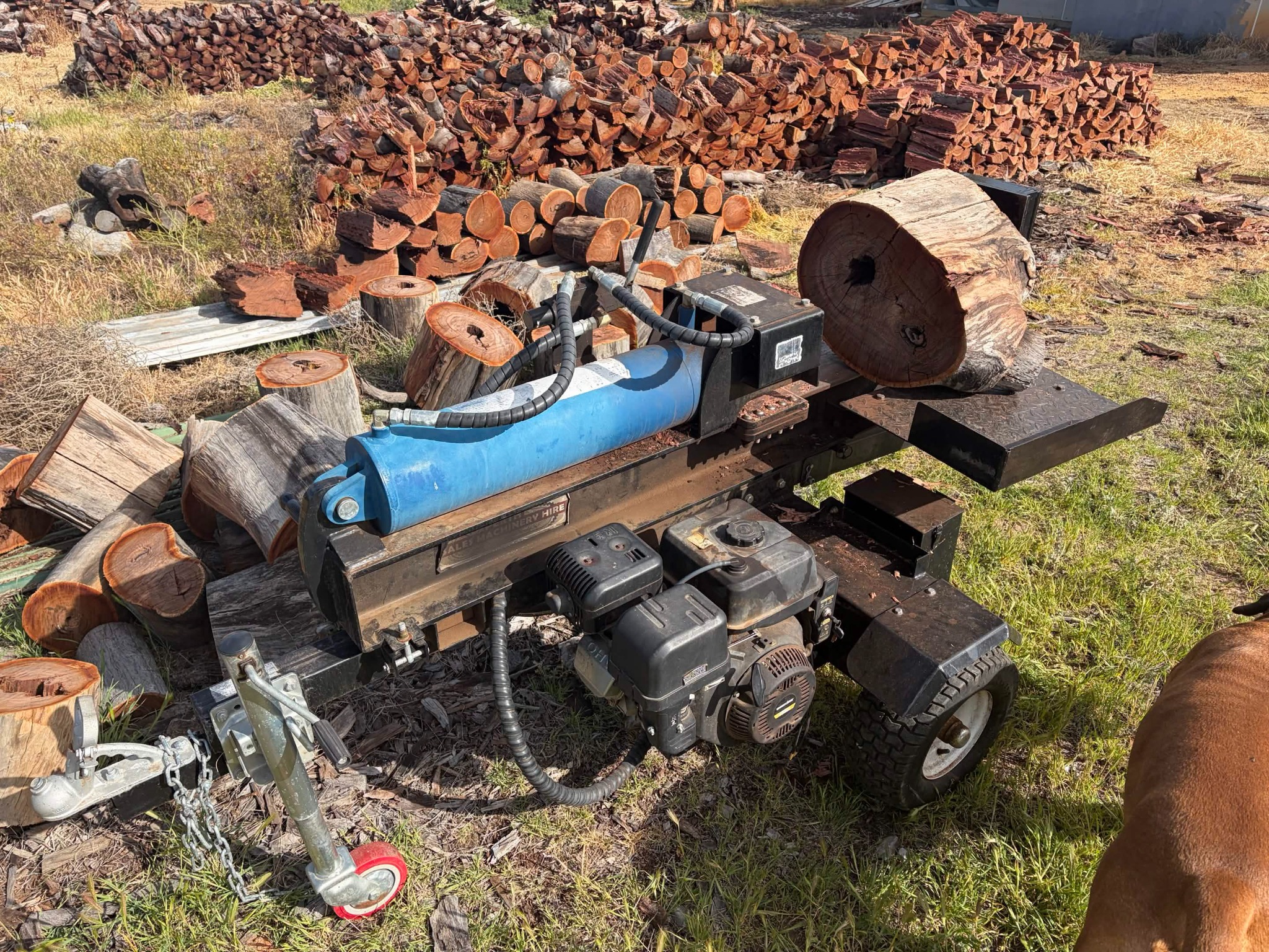 Wood splitting machine beside cut timber