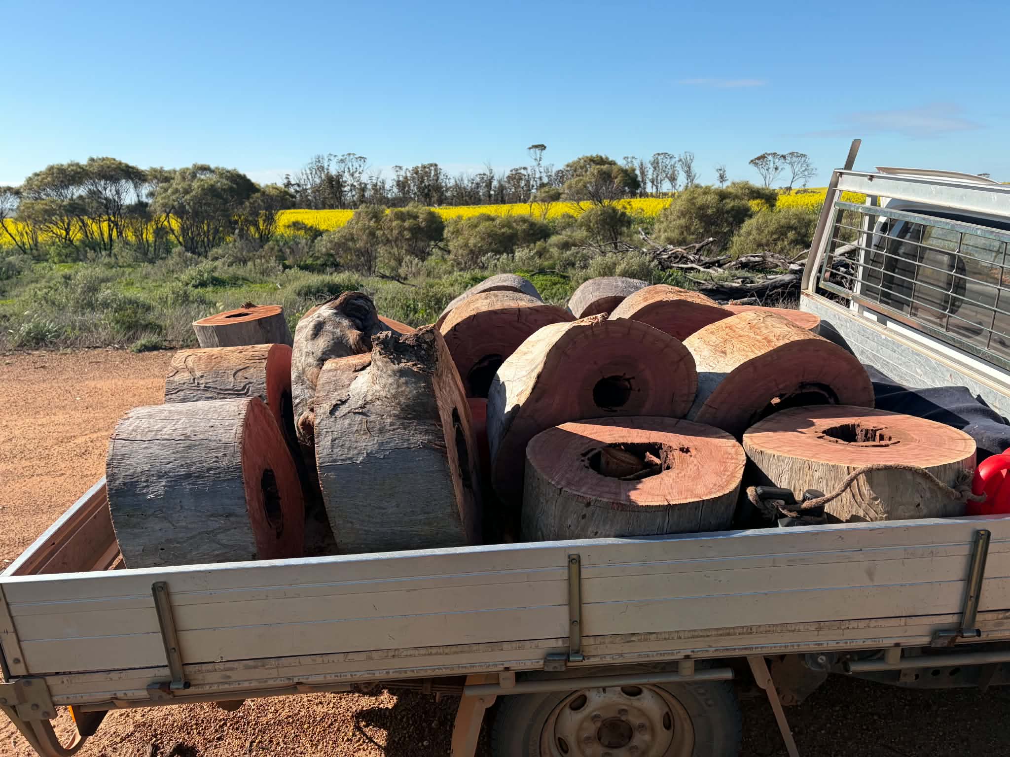 Large timber rounds loaded on a truck