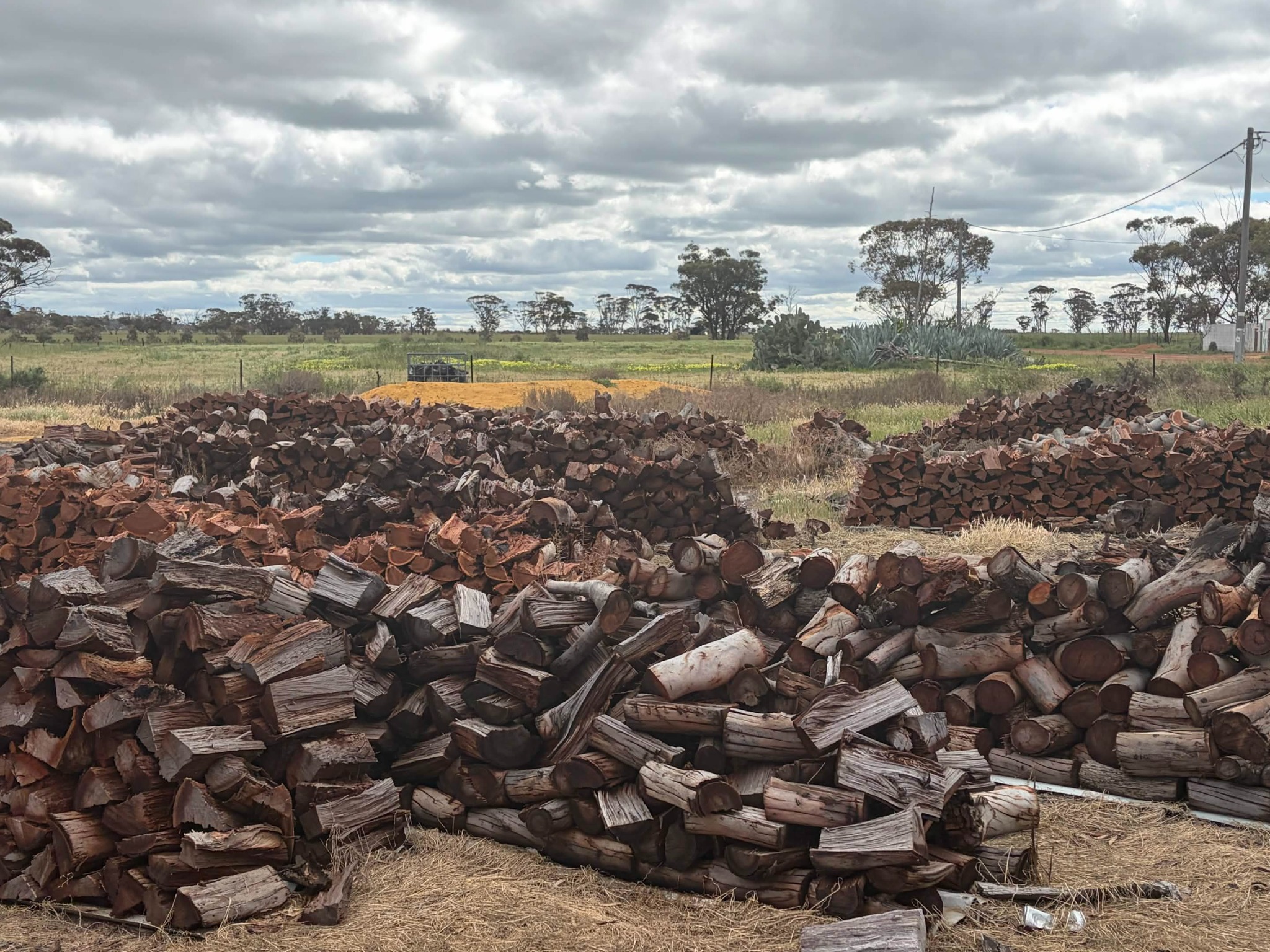 Large stacks of cut firewood at the RobinWood wood yard